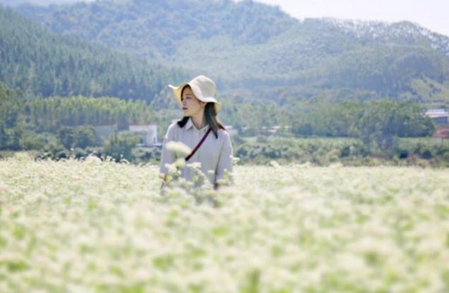 很久不见的情侣送什么花，花语代表好久不见的是什么