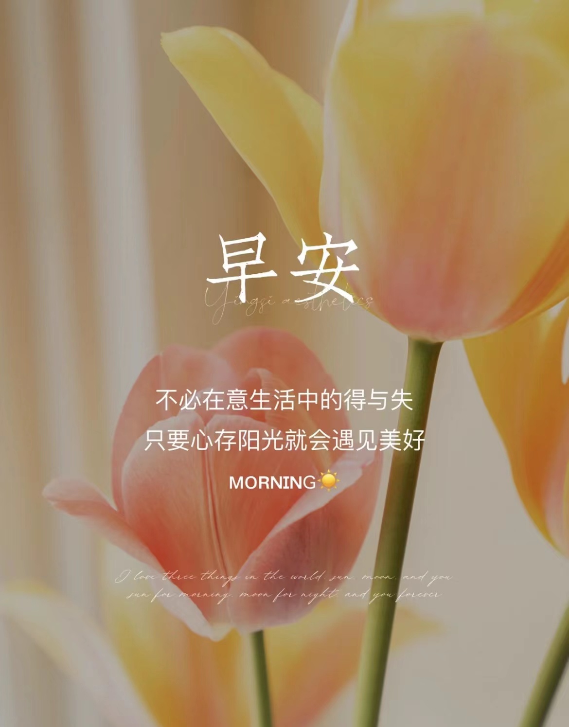 适合早上发的励志图片,早上元气满满的句子励志图片