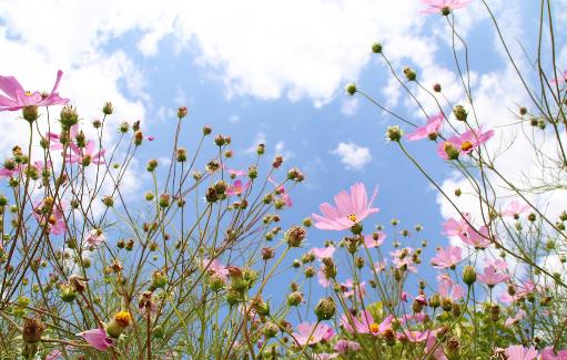 男人喜欢被女人捧脸吗,男生接吻时为什么喜欢捧女生的脸