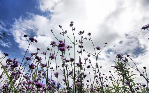 男人喜欢被女人捧脸吗,男生接吻时为什么喜欢捧女生的脸