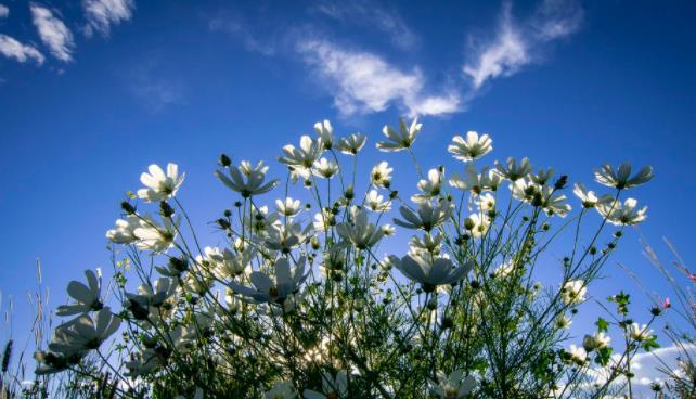 男人喜欢被女人捧脸吗,男生接吻时为什么喜欢捧女生的脸