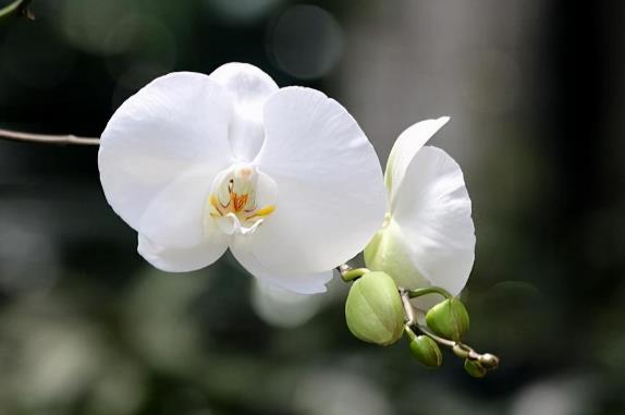 为什么男人对老婆的态度就是人品,男人对待老婆和对待情人的区别