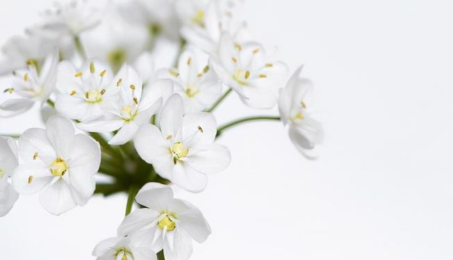 为什么男人对老婆的态度就是人品,男人对待老婆和对待情人的区别