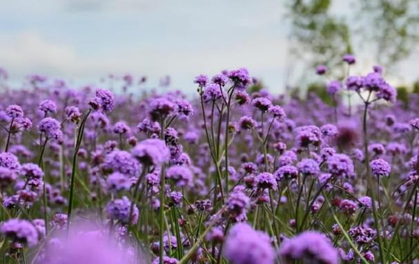 为什么男人对老婆的态度就是人品,男人对待老婆和对待情人的区别