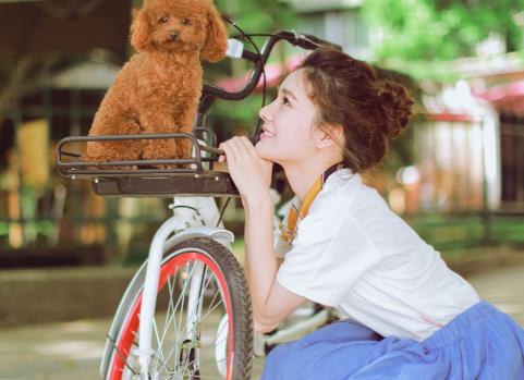 婚姻能否长久看什么，幸福美满的婚姻都满足的几个标准