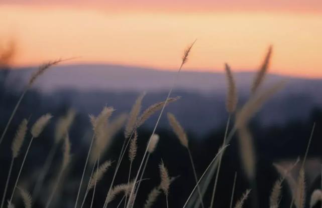 女人对什么事情会记仇，让女人记恨一辈子的事情