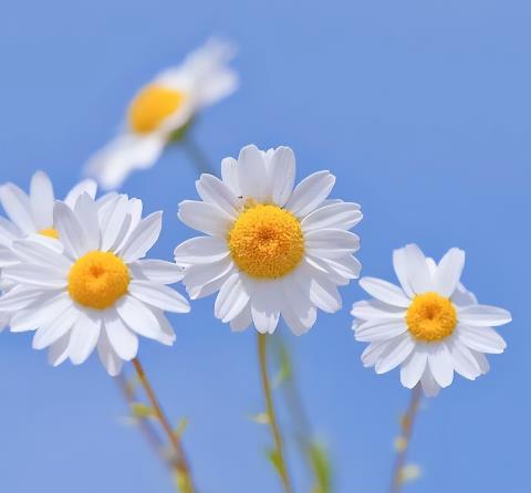 为什么人缘越好的人越不值得深交