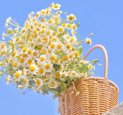 为什么人缘越好的人越不值得深交