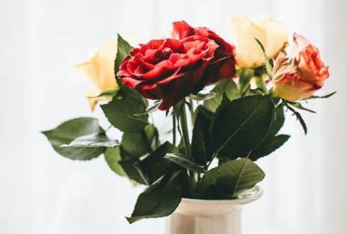 退休后最忌讳三件事,退休生活有三种忌讳别不当回事