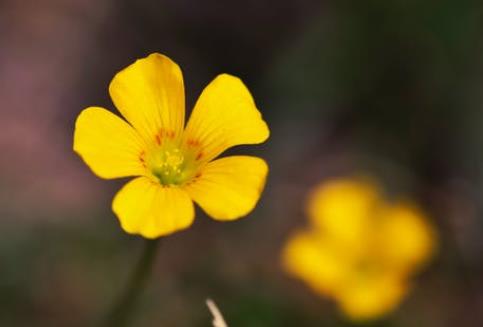 退休后最忌讳三件事,退休生活有三种忌讳别不当回事