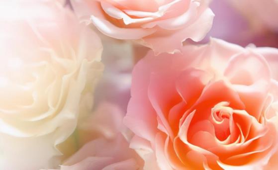 为啥你越反感男人对你越好,女人越是主动拒绝男人他反而更爱你