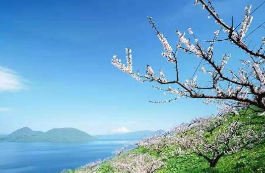 细节告诉你谁更靠谱,这三个细节让你知道什么是值得你依靠