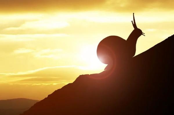 而有些人选择拉你一把,这个时候自己也能更好的振作起来,之后也要学会