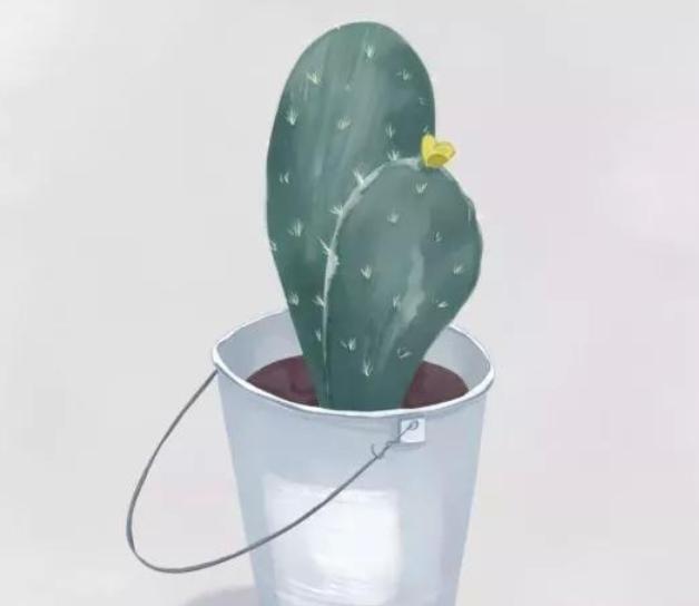 中年后单身男女怎么摆脱孤独,中年单身要主动脱单吗