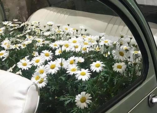 射手座喜欢肢体接触吗，射手男会主动跟你有肢体接触吗