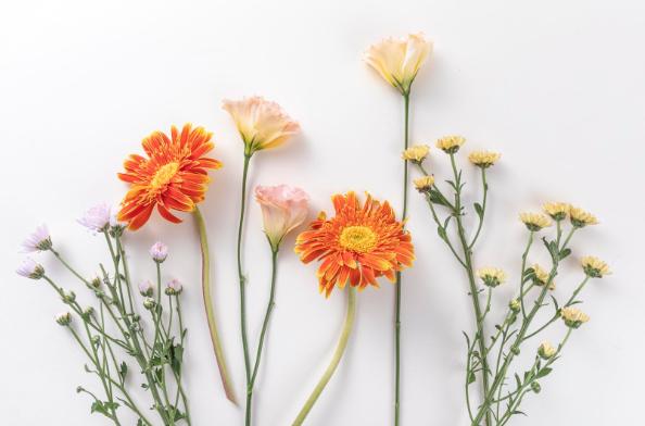 一般人征服不了的女人，有这三个特点的女人一般男人征服不了