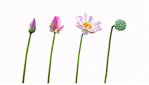 一般人征服不了的女人，有这三个特点的女人一般男人征服不了