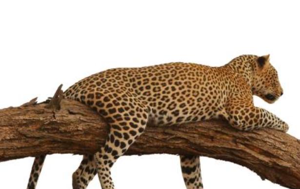 十种孩子容易被欺负，什么样的人容易被欺负孤立