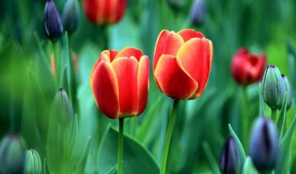 人到五十五会有哪5苦，五十五怎么顺利经历5苦