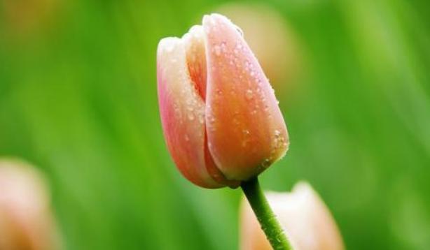 人到五十五会有哪5苦，五十五怎么顺利经历5苦