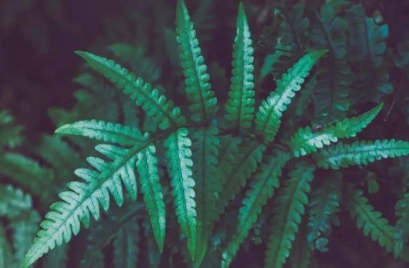 女人做3事越老越气质，女人老了是注重美貌还是注重气质