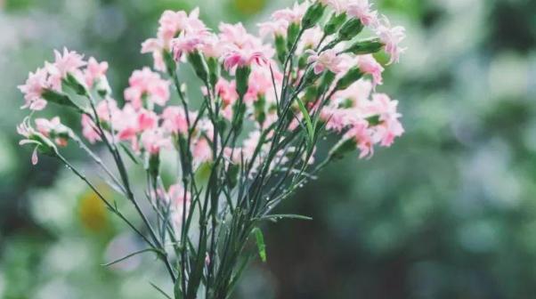 女人做3事越老越气质，女人老了是注重美貌还是注重气质