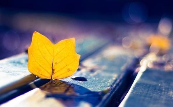 女人后半生有没有福气看什么，50岁保持好心态对于后半生有好处吗