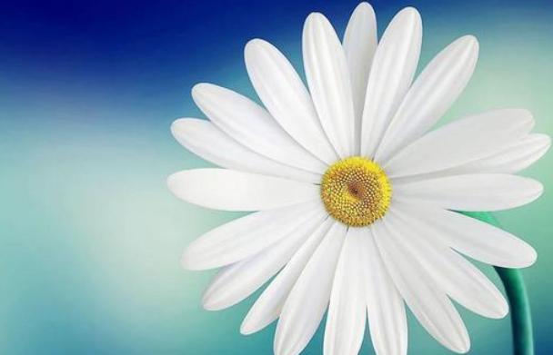 女人后半生有没有福气看什么，50岁保持好心态对于后半生有好处吗