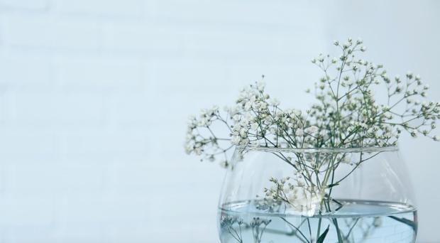 人生的最高境界是安静的独处吗,什么是人生的最高境界