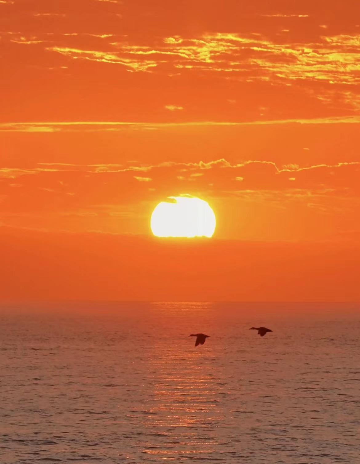 十大绝美日出图片,顶级绝美日出壁纸