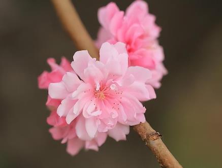 男人11种肢体动作表达的情感