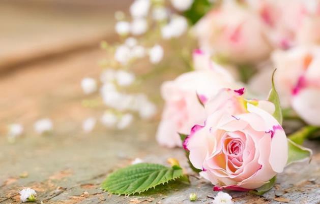 男人11种肢体动作表达的情感