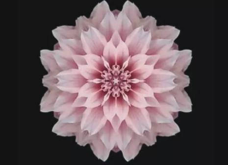 佛说夫妻分房睡4年正常吗,佛说夫妻有三种关系