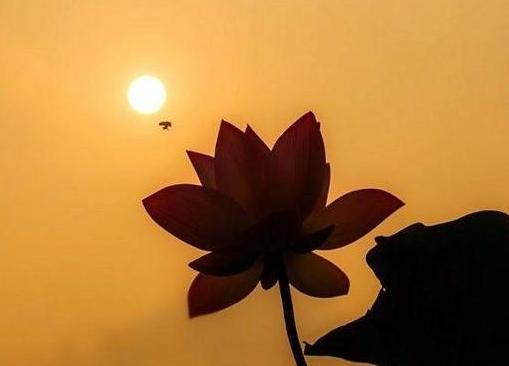 佛说夫妻分房睡4年正常吗,佛说夫妻有三种关系