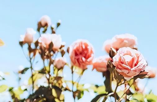 跟嫂子第一次见面怎么说话，第一次见面怎么跟嫂子打招呼