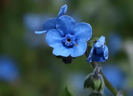 女人劈腿最怕什么,为何出轨叫劈腿