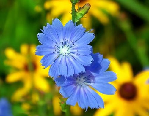 女人劈腿最怕什么,为何出轨叫劈腿