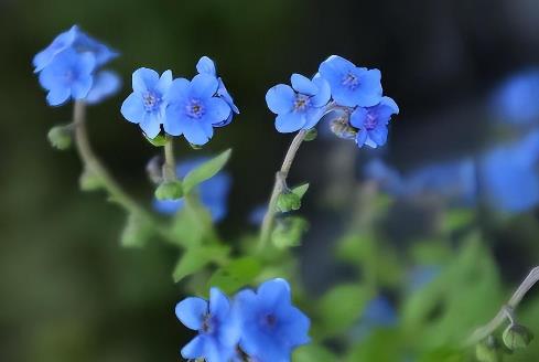 女人劈腿最怕什么,为何出轨叫劈腿