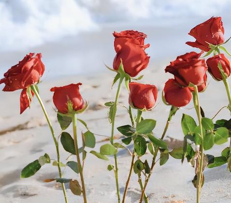 婚外情一旦发生的忠告,婚外情分手方法