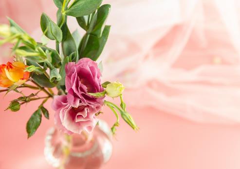 触碰三处隐私的人不可深交,女人把隐私告诉你说明什么