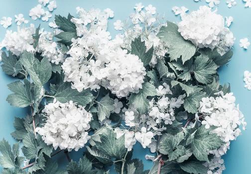 50岁仍有桃花运的女人说明什么,女人50岁还有桃花运好不好