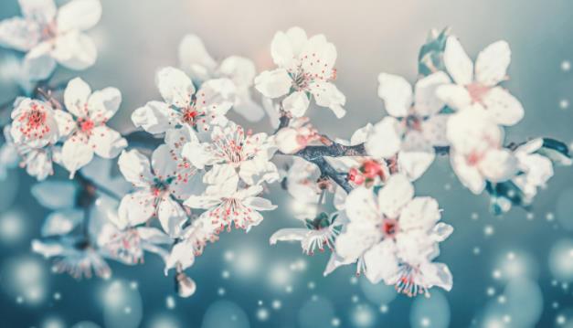 50岁仍有桃花运的女人说明什么,女人50岁还有桃花运好不好