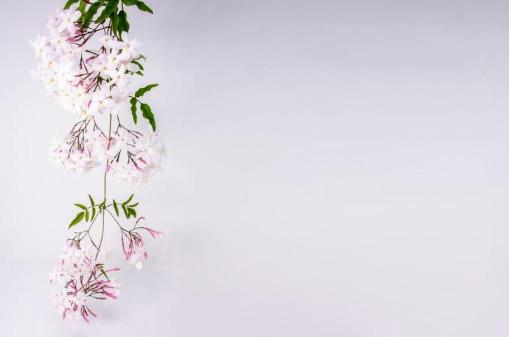 和异性搭伙自驾需要注意什么，中年异性搭伙自驾游注意事项