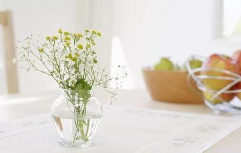 丈母娘作风不好还能带孩子吗，喝多了和丈母娘吵架怎么办