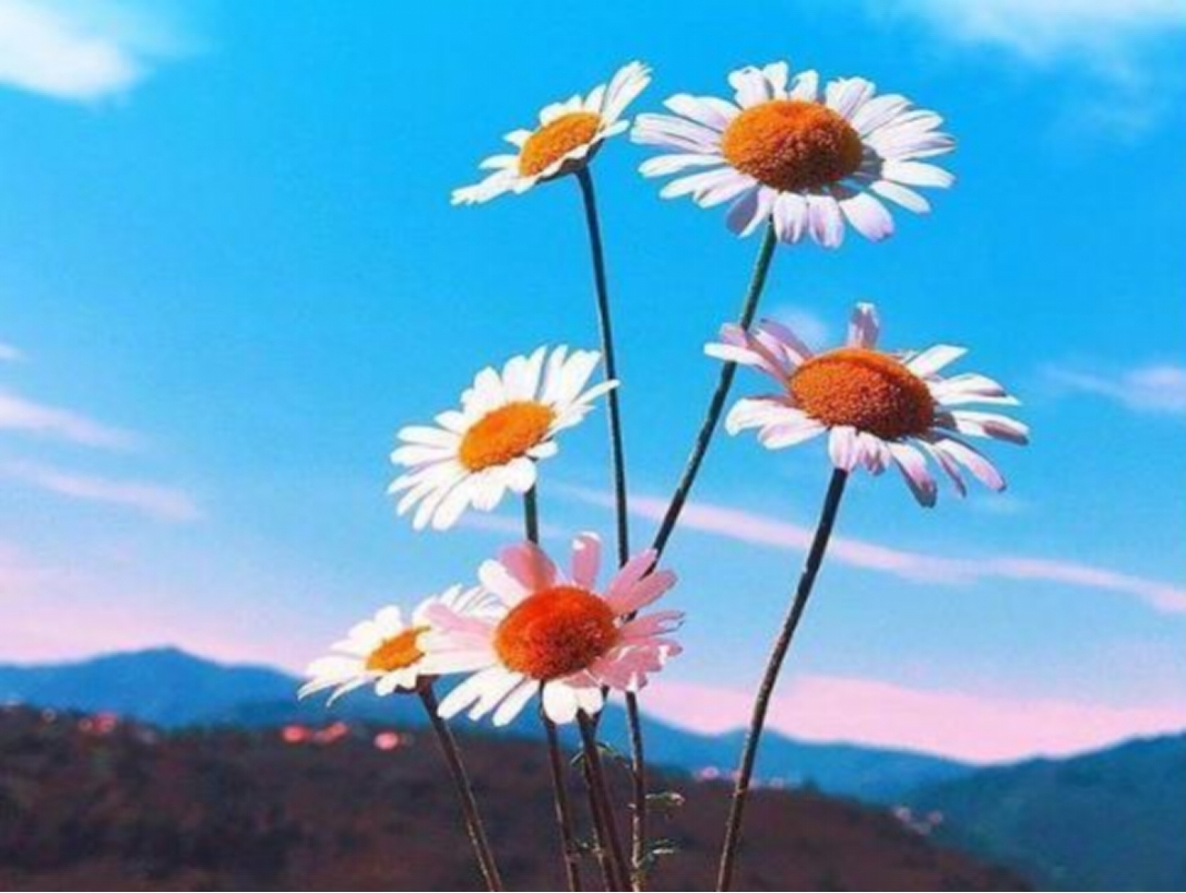 女性80岁可以找老伴吗，80岁以上老人找老伴好吗