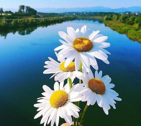 女性80岁可以找老伴吗，80岁以上老人找老伴好吗