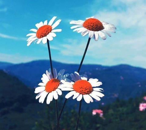 女性80岁可以找老伴吗，80岁以上老人找老伴好吗