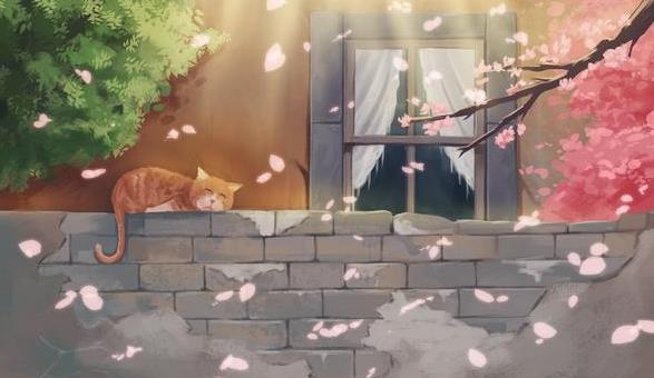 50多岁花心女人的表现,男人过了八十还花心吗