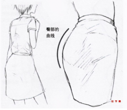 女人臀部和腿部的画法，女生臀部腿部画法