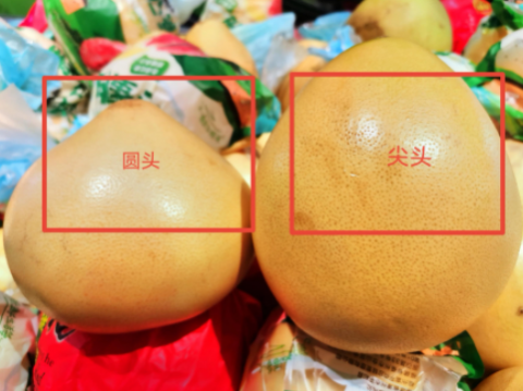 公母柚子图片区分，公母柚子对比图